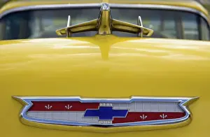 USA, Tennessee, Cookeville. Detail of vintage car on display during an antique car show