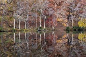 Images Dated 26th October 2014: USA, Tennessee, Cumberland Mountain State Park. Byrd Lake, , Tennessee Credit as