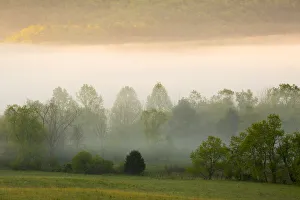 Smoky Prints: USA, Tennessee. Early morning fog in Cades Cove