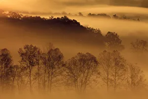 Great Smoky Mountain Prints: USA, Tennessee. Early morning fog in the Smoky Mountains