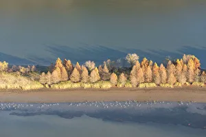 Images Dated 15th November 2021: USA, Tennessee. Evening light Tennessee River