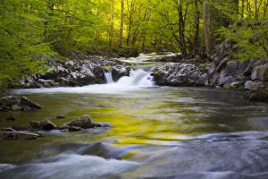 Smoky Prints: USA, Tennessee, Evening reflections in the Little River at Tremont