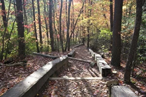USA - Tennessee. Fall foliage at Fall Creek Falls State Park