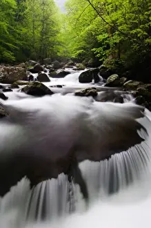 Images Dated 25th April 2006: USA; Tennessee; Great smoky mountain NP; Cascade in Middle Prong Little River