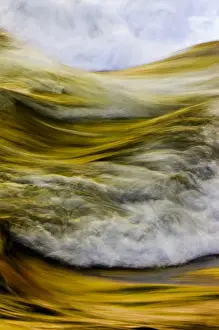 White Water Prints: USA; Tennessee; Great Smoky Mountain NP; Spring reflections in stream