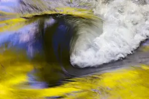 Images Dated 28th April 2006: USA; Tennessee; Great Smoky Mountain NP; Stream abstract with reflections of spring