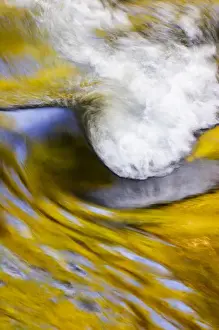 Images Dated 28th April 2006: USA; Tennessee; Great Smoky Mountain NP; Stream abstract withreflections of spring