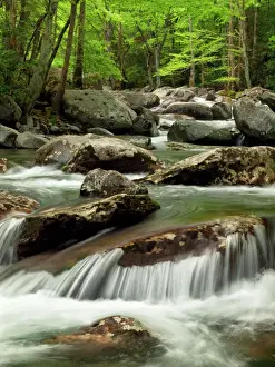 Blur Prints: USA, Tennessee, Great Smoky Mountains National Park, Little Pigeon River at Greenbrier