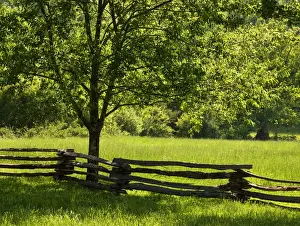 Images Dated 7th May 2010: USA, Tennessee, Great Smoky Mountains National Park, Old wooden fence in Cades Cove