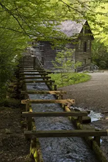 Images Dated 3rd May 2015: USA, Tennessee, Great Smoky Mountains National Park