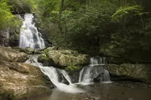Images Dated 7th May 2015: USA, Tennessee, Great Smoky Mountains National Park. Indian Flats Falls landscape