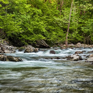 USA, Tennessee, Great Smoky Mountains National Park, Little Pigeon River at Greenbrier