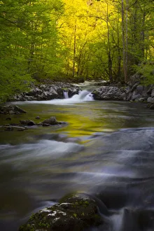 Smoky Prints: USA, Tennessee. Great Smoky Mountains National Park, Little River