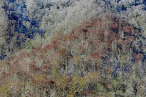 USA, Tennessee. Great Smoky Mountains National Park with late springtime snow