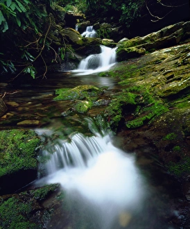 USA; Tennessee; A moss covered stream in The Great Smoky Mountains