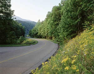 Empty Road Prints: USA, Tennessee, North Carolina, View of Great Smoky Mountains National Park