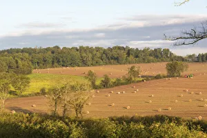 Family Prints: USA, Tennessee. Pastoral farm scene in morning light. Long shadows from hay bales