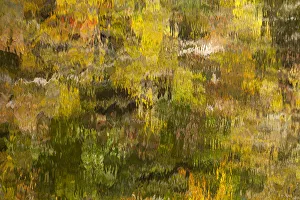 Images Dated 27th October 2017: USA, Tennessee. Reflections along the Little River in the Smoky Mountains