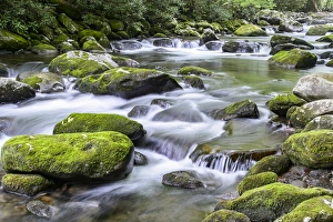 <b class=qtipBold><figcaption>USA, Tennessee, Smokys, stream</figcaption></b><br>USA, Tennessee, Smokies, stream<br><em>© George Theodore / DanitaDelimont.com</em> USA, Tennessee, Smokys, stream
