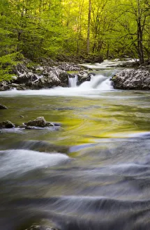 Smoky Prints: USA, Tennessee. Sparks Lane in the spring at Cades Cove