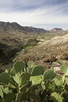 Big Bend Area Prints: USA-TEXAS-Big Bend Area-Presidio: View of the Rio Grande River Valley at the Big Bend from Rt