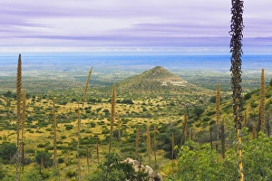 Images Dated 4th November 2014: USA, Texas, Guadalupe Mountains National Park. Landscape with small mountain. Credit as