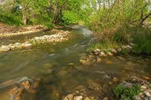 Images Dated 22nd June 2024: USA, Texas, Hill Country. Bailey Creek scenic