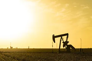 Land Prints: USA, Texas. Martin County, Pumpjack on cotton field at sunset