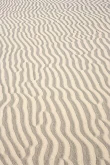 Images Dated 17th June 2005: U.S.A. Texas. Monahans Sandhills State Park in the Big Bend area of Texas, situated