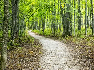 Images Dated 5th October 2015: USA, Upper Michigan. Hiking trail in early autumn