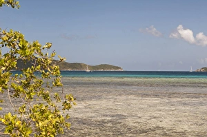 Images Dated 3rd January 2012: USA, USVI, St John. Tropical winter getaway