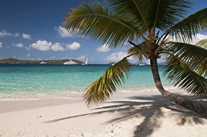 Images Dated 1st January 2012: USA, USVI, St John. Tropical winter getaway