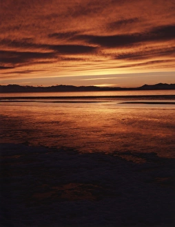 Antelope Island Prints: USA, Utah, Antelope Island, Stansbury Island, Great Basin, Farmington Bay, View of