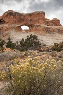 Images Dated 4th December 2014: USA, Utah, Arches National Park. Scenic of Tunnel Arch