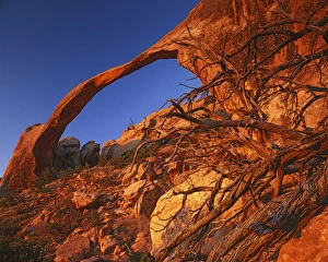 USA, Utah, Arches National Park, Landscape Arch