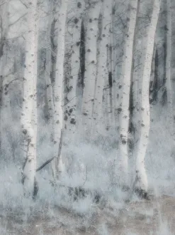 USA, Utah, Aspen Grove in infrared of the Logan Pass area