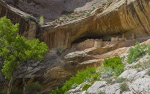 Ruins Prints: USA, Utah, Bluff. Monarch Cave Ruin near Butler Wash on Cedar Mesa
