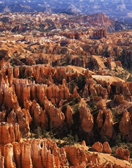 USA, Utah, Bryce Canyon National Park, Rock hoodoos from inspiration point