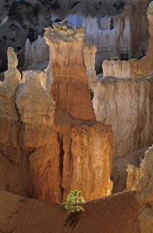 USA, Utah, Bryce Canyon National Park, morning light on hoodoos, spectacularly