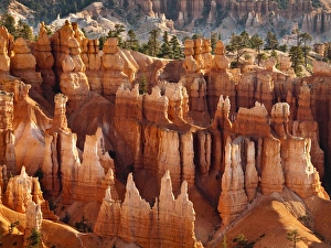 Images Dated 1st October 2010: USA, Utah, Bryce Canyon National Park, Morning light on hoodoos