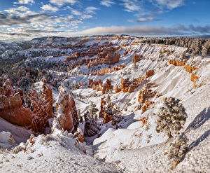 Images Dated 13th January 2015: USA, Utah, Bryce Canyon National Park, Winter morning in the Bryce Canyon Amphitheater