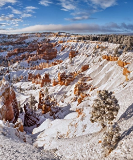 Images Dated 13th January 2015: USA, Utah, Bryce Canyon National Park, Winter morning in the Bryce Canyon Amphitheater