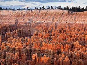 Images Dated 1st October 2010: USA, Utah, Bryce Canyon National Park, Sunrise touches hoodoos at Sunset Point
