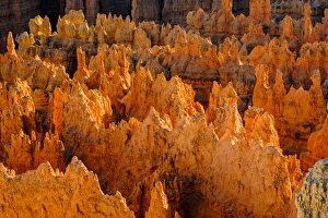 Bryce Prints: USA, Utah, Bryce Canyon National Park, detail, colorful