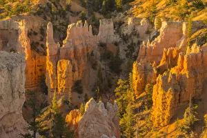 Images Dated 1st November 2016: USA, Utah, Bryce Canyon National Park. Canyon overview