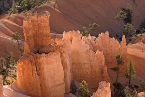 Images Dated 17th May 2020: USA, Utah, Bryce Canyon National Park, Hoodoos rise above colorful ridges and valleys
