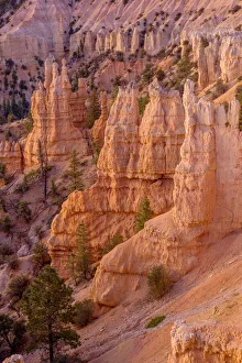 Images Dated 1st July 2020: USA, Utah, Bryce Canyon National Park, Dawn view south from Fairyland Point with colorful