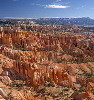 Images Dated 17th May 2020: USA, Utah, Bryce Canyon National Park, Colorful hoodoos in Bryce Amphitheater