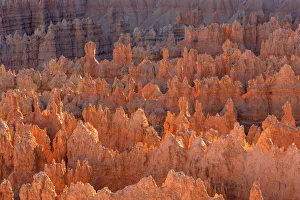 Images Dated 17th May 2020: USA, Utah, Bryce Canyon National Park, Evening light brightens hoodoos in the Silent City