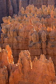 Images Dated 17th May 2020: USA, Utah, Bryce Canyon National Park, Evening light brightens hoodoos in the Silent City